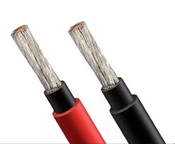 Núcleo único H1z2z2